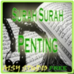 surah-surah penting android application logo